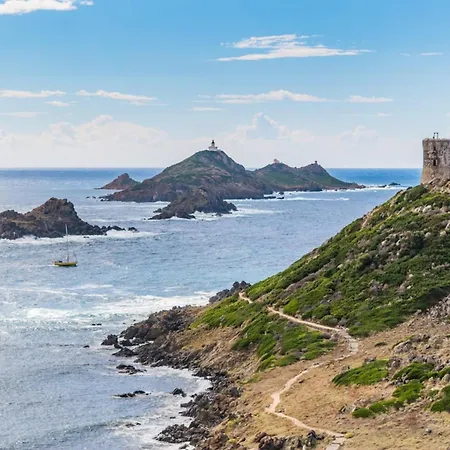 Marlene - Terrace Free Parking - By Tgb * Ajaccio (Corsica)